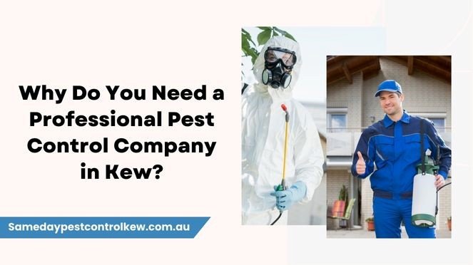 pest control Kew