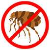 Flea Control Kew